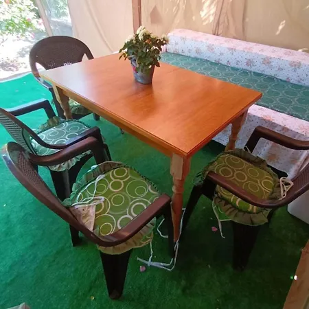 Vila Camel * Costinești