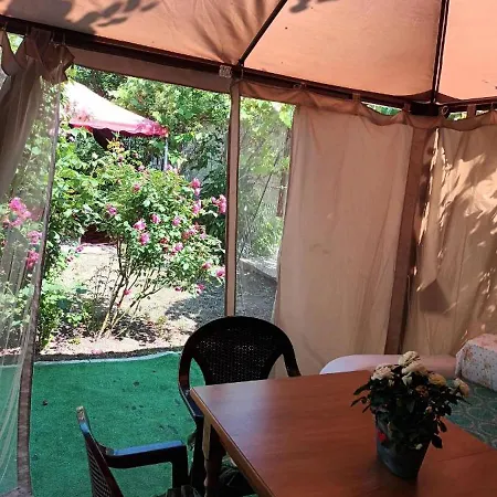 Vila Camel Костинешти